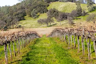 7449 Esmeralda Rd, San Andreas, CA 95249 - Photo 33