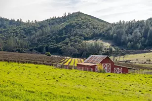 7449 Esmeralda Rd, San Andreas, CA 95249 - Photo 15