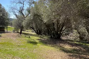 1551 John Dear Rd, Rail Road Flat, CA 95248 - Photo 39