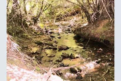 46 Ringtail Road, Georgetown, CA 95634 - Photo 3