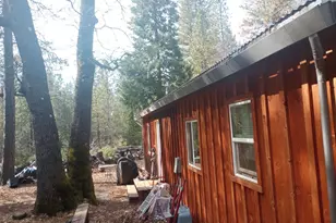 20194 Madrone Springs Rd, Nevada City, CA 95959 - Photo 19