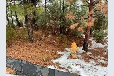 520 Lost Hill, Nevada City, CA 95959 - Photo 9