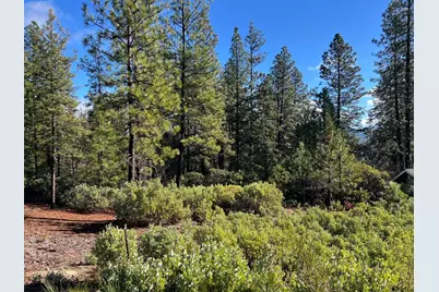 520 Lost Hill, Nevada City, CA 95959 - Photo 3