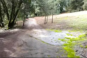 955 Grinding Rock Ct, West Point, CA 95255 - Photo 63