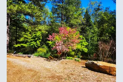 955 Grinding Rock Court, West Point, CA 95255 - Photo 11