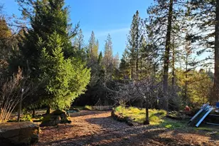 955 Grinding Rock Ct, West Point, CA 95255 - Photo 49