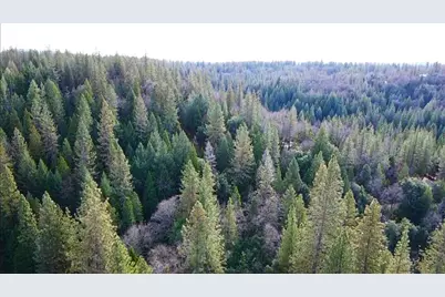 955 Grinding Rock Court, West Point, CA 95255 - Photo 65