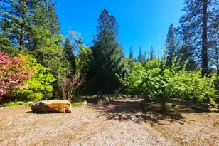 955 Grinding Rock Ct, West Point, CA 95255 - Photo 69