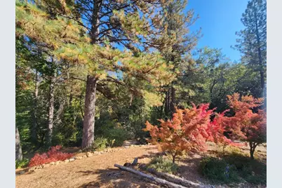 955 Grinding Rock Court, West Point, CA 95255 - Photo 85