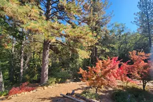 955 Grinding Rock Ct, West Point, CA 95255 - Photo 85