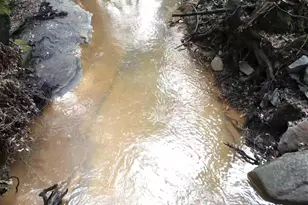 955 Grinding Rock Ct, West Point, CA 95255 - Photo 15