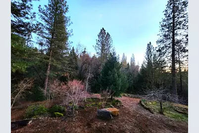 955 Grinding Rock Court, West Point, CA 95255 - Photo 47