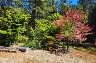 955 Grinding Rock Ct, West Point, CA 95255 - Photo 9