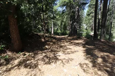 16779 Pasquale Road, Nevada City, CA 95959 - Photo 3