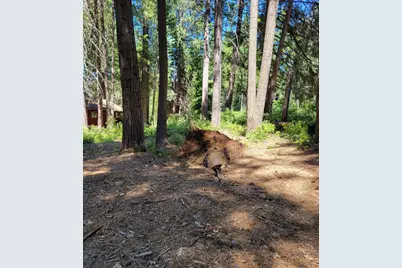 16779 Pasquale Road, Nevada City, CA 95959 - Photo 13