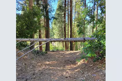 16779 Pasquale Road, Nevada City, CA 95959 - Photo 1