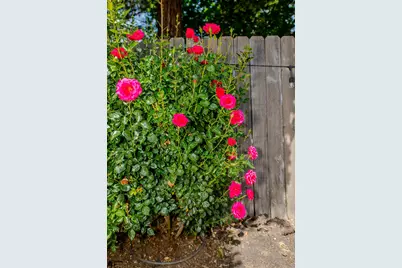 148 Glacier Street, Woodland, CA 95695 - Photo 45