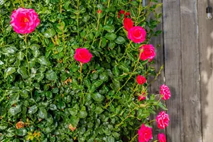 148 Glacier St, Woodland, CA 95695 - Photo 45