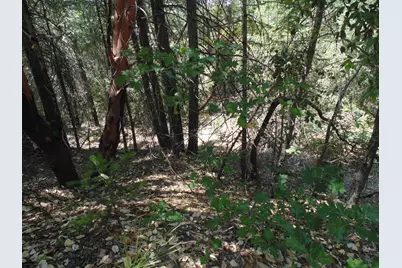 35 Balderson, Georgetown, CA 95634 - Photo 19