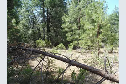 35 Balderson, Georgetown, CA 95634 - Photo 23