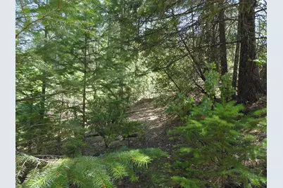 35 Balderson, Georgetown, CA 95634 - Photo 25