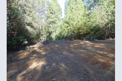 35 Balderson, Georgetown, CA 95634 - Photo 31