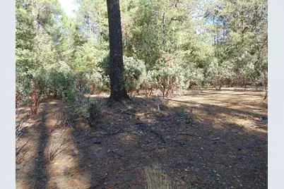35 Balderson, Georgetown, CA 95634 - Photo 37