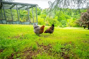 4130 Puzzlewood Ln, Auburn, CA 95602 - Photo 43