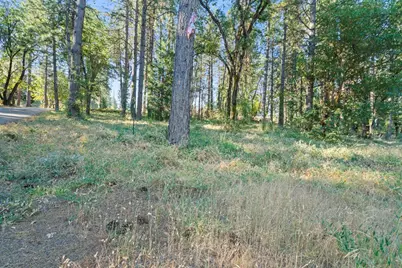 3435 Carson Court, Camino, CA 95709 - Photo 17