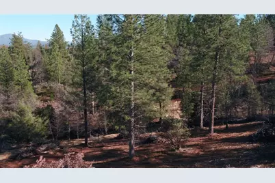 11126 Jordan Creek Road, Coulterville, CA 95311 - Photo 9