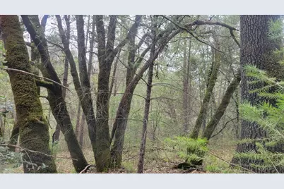 3291 Stage Trail Road, Greenwood, CA 95635 - Photo 19