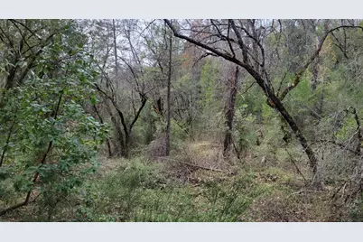 3291 Stage Trail Road, Greenwood, CA 95635 - Photo 9