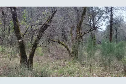 3291 Stage Trail Road, Greenwood, CA 95635 - Photo 11