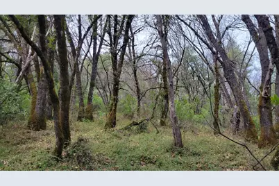 3291 Stage Trail Road, Greenwood, CA 95635 - Photo 17