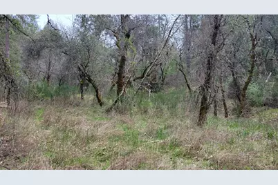 3291 Stage Trail Road, Greenwood, CA 95635 - Photo 13