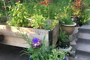 12716 Red Dog Rd, Nevada City, CA 95959 - Photo 53