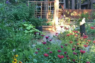 12716 Red Dog Rd, Nevada City, CA 95959 - Photo 49