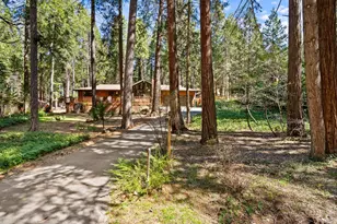 12716 Red Dog Rd, Nevada City, CA 95959 - Photo 5