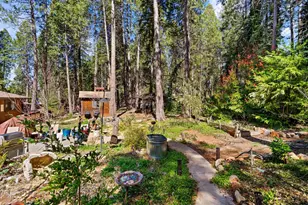 12716 Red Dog Rd, Nevada City, CA 95959 - Photo 39