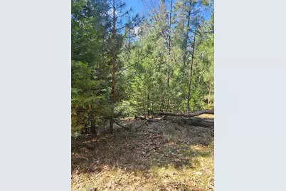 19344 Louis Road, Grass Valley, CA 95945 - Photo 23