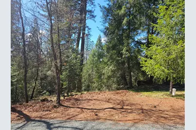 19344 Louis Road, Grass Valley, CA 95945 - Photo 37