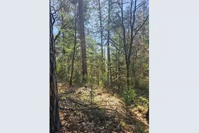 19344 Louis Road, Grass Valley, CA 95945 - Photo 19