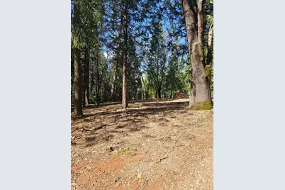 19344 Louis Road, Grass Valley, CA 95945 - Photo 9