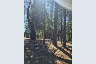 19344 Louis Road, Grass Valley, CA 95945 - Photo 39