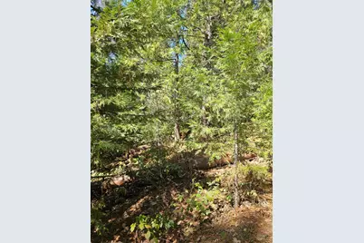 19344 Louis Road, Grass Valley, CA 95945 - Photo 21