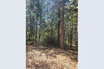 19344 Louis Road, Grass Valley, CA 95945 - Photo 51