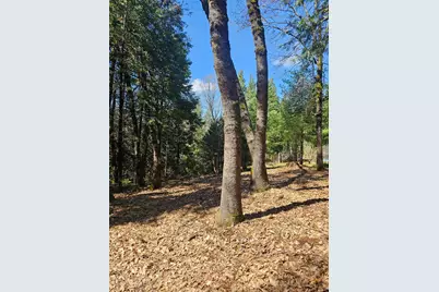 19344 Louis Road, Grass Valley, CA 95945 - Photo 49