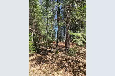 19344 Louis Road, Grass Valley, CA 95945 - Photo 17