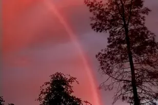 13197 American Ranch Ct, Grass Valley, CA 95949 - Photo 71