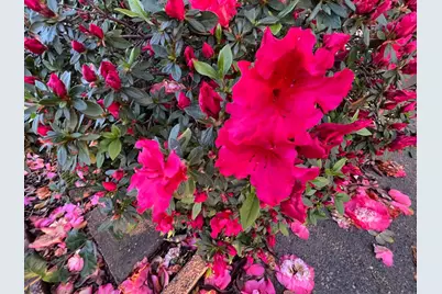 Sunrise Boulevard #73, Citrus Heights, CA 95610 - Photo 15